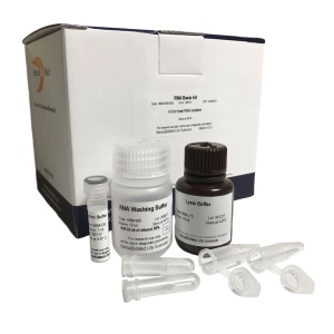RNA EV Isolation RNA EV Isolation
