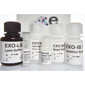 Liquid Biopsy Liquid Biopsy