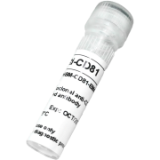 Anti Rab5 rabbit polyclonal unconjugated (100 μg) Anti Rab5 rabbit polyclonal unconjugated (100 μg)