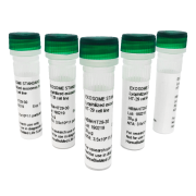 Lyophilized exosomes from plasma of healthy donors (5x30ug vial)