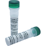 Lyophilized exosomes from plasma of healthy donors (2x30ug vial)