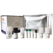 Custommade ExoTEST Ready to Use Kit for specific exosome capture and quantification Custommade ExoTEST Ready to Use Kit for specific exosome capture and quantification