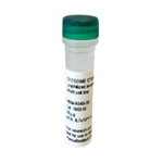 Lyophilized Plant derived ELNs from Seaberries (100µg vial) 