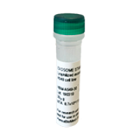 Lyophilized Plant derived ELNs from Seaberries (100µg vial) 