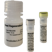 Immunobeads for Overall Exosome capture form mouse plasma and serum (10 reactions) - Covalent coating/0.4 um Immunobeads for Overall Exosome capture form mouse plasma and serum (10 reactions) - Covalent coating/0.4 um