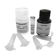 RNA Basic Kit (25 reactions) RNA Basic Kit (25 reactions)